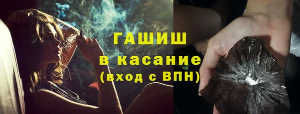 гидра Абаза