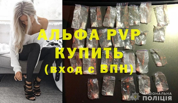 гидра Абаза
