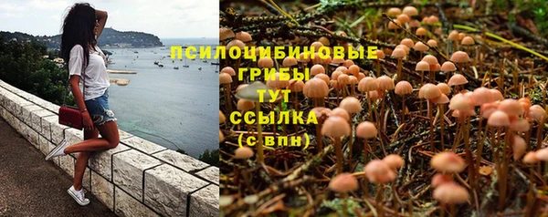 гидра Абаза