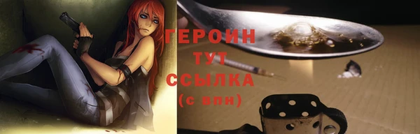 гидра Абаза