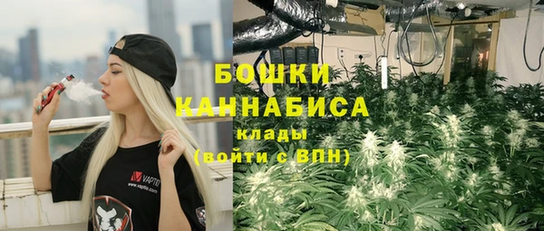 гидра Абаза
