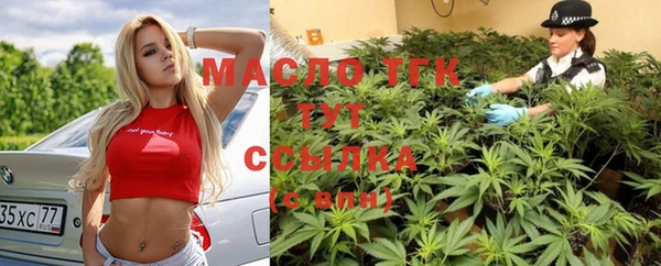 гидра Абаза