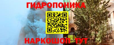 стафф Краснознаменск