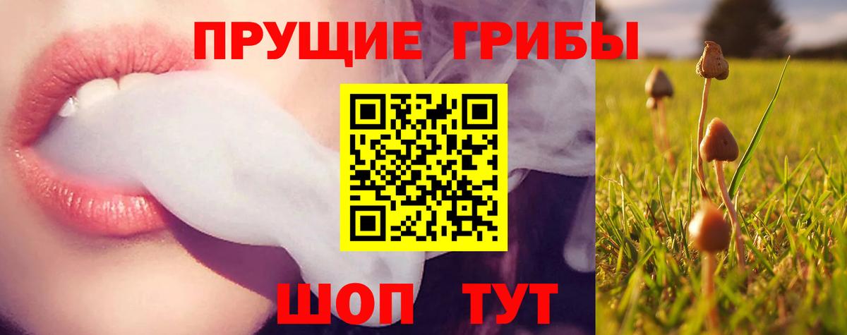 Галлюциногенные грибы мухоморы  Псилоцибиновые грибы MAGIC MUSHROOMS  Кострома  Вход с VPN 