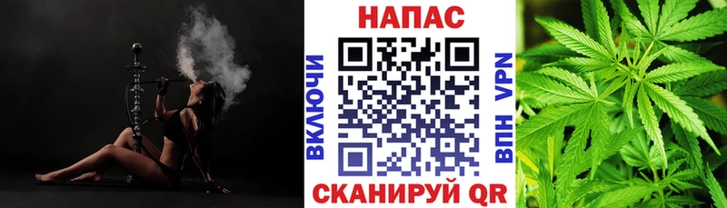 Каннабис ГИДРОПОН  нарко площадка как зайти  Кострома 