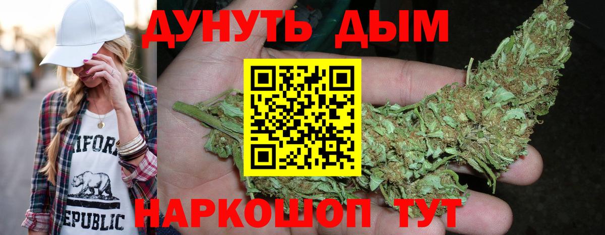Каннабис сатива Кострома